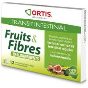 Ortis Fruit Et Fibres Transit Ballonnements Cube 10 G 1