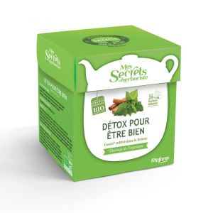 Fitoform Infusion Détox pour être bien BIO - 20 sachets