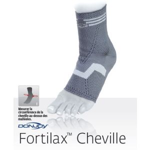 Fortilax chevil gri t2 1