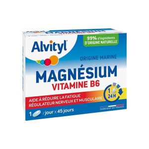 ALVITYL MAGNESIUM VITAMINE B6 LIBERATION PROLONGEE - REF 602804 COMPRIME BOITE 45