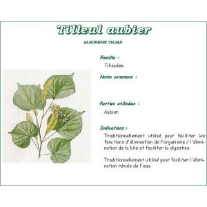 Phibio Aubier De Tilleul Tisane 120 G 1