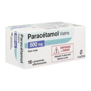 Paracetamol Mylan Pharma 500 Mg Comprimes Effervescents B/16