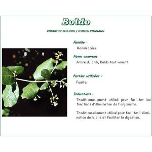 Iphym Boldo Feuille Tamise Poudre 250 G