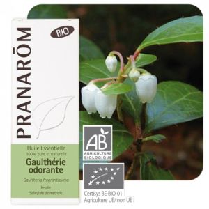 Pharmacie Le Quere - Parapharmacie Pranarôm Huile Essentielle Sapin De  Sibérie 10ml - LE BARP