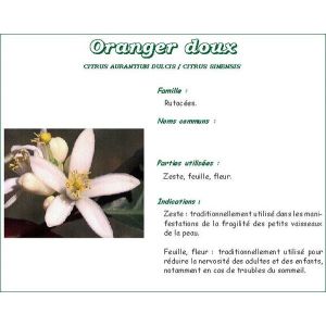 Phibio Oranger Tisane 50 G 1