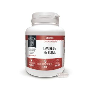 Dayang Levure de riz rouge simple - 90 gélules