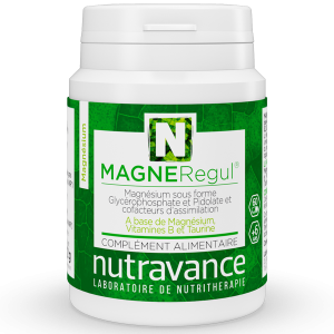 MAGNERegul® 60