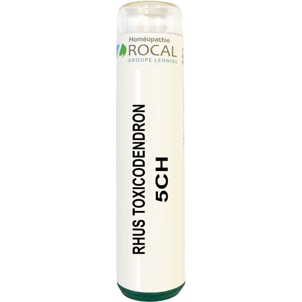 RHUS TOXICODENDRON 5CH TUBE GRANULES 4G SACCHAROSE PUR ROCAL