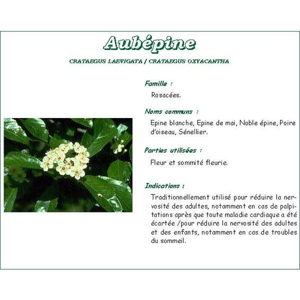 Phibio Aubepine Tisane 75 G 1