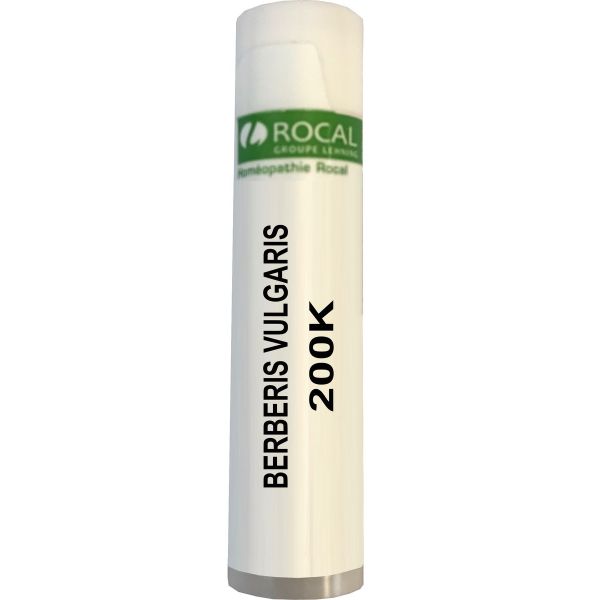 BERBERIS VULGARIS 200K DOSE 1G ROCAL