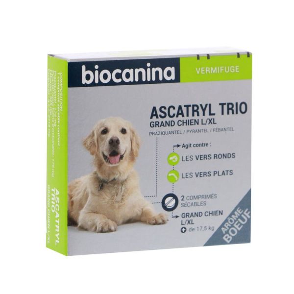 Ascatryl Trio Grand Chien L/Xl Cpr Secab Plaq Tfor 2