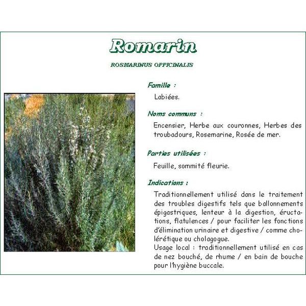 Phibio Romarin Tisane 75 G 1