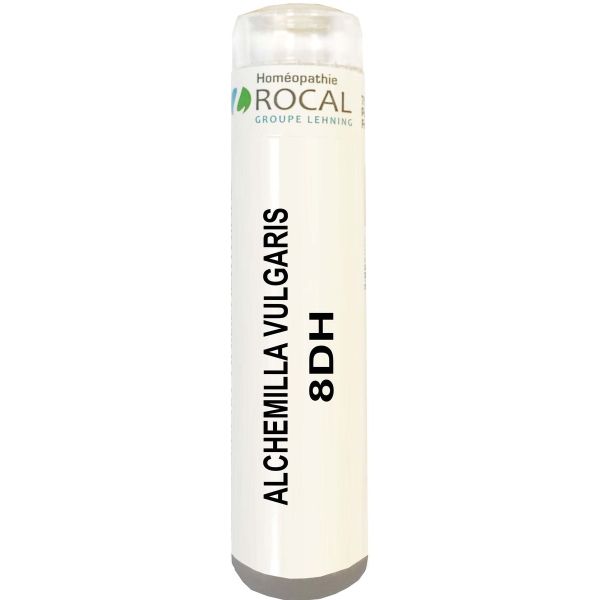 Alchemilla vulgaris 8dh tube granules 4g rocal