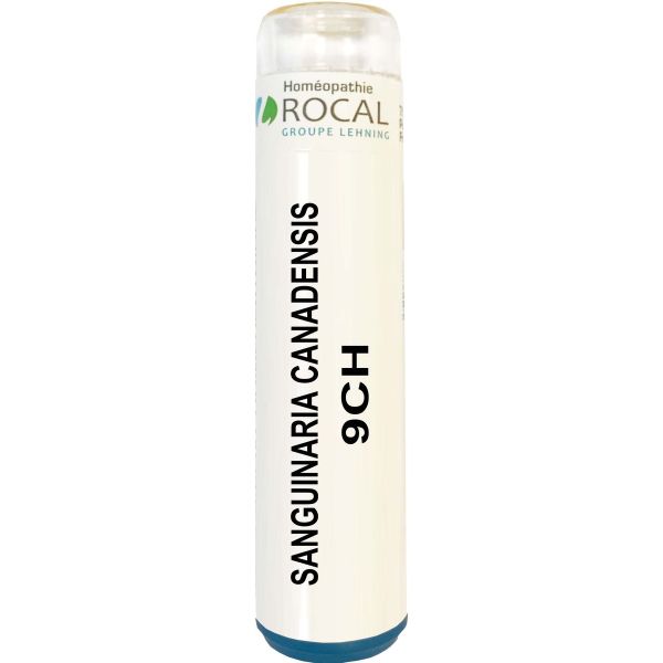 SANGUINARIA CANADENSIS 9CH TUBE GRANULES 4G SACCHAROSE PUR ROCAL