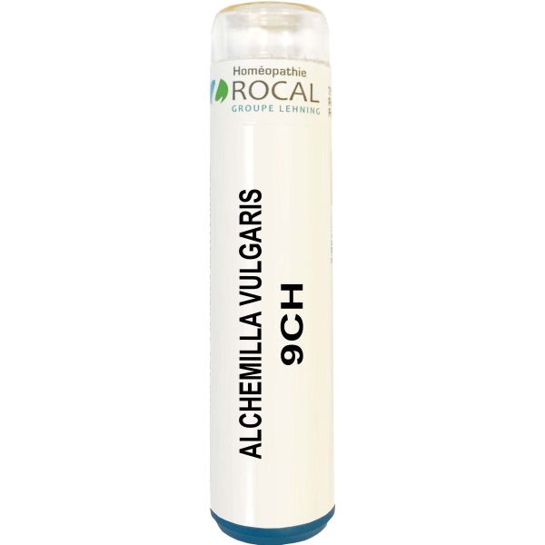 Alchemilla vulgaris 9ch tube granules 4g rocal