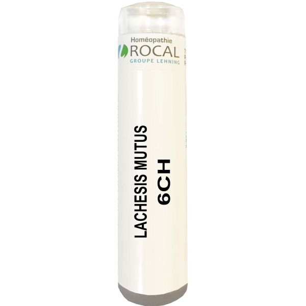 Lachesis mutus 6ch tube granules 4g rocal