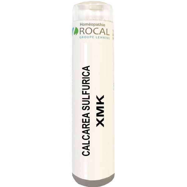 CALCAREA SULFURICA XMK TUBE GRANULES 4G ROCAL