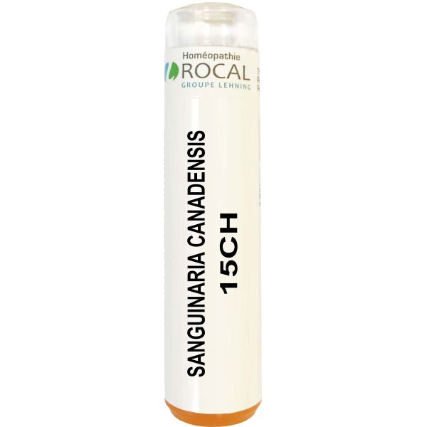 SANGUINARIA CANADENSIS 15CH TUBE GRANULES 4G SACCHAROSE PUR ROCAL