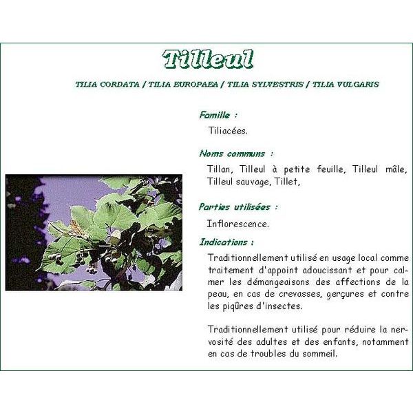 Iphym Tilleul Officinal Entiere Plante 100 G 1