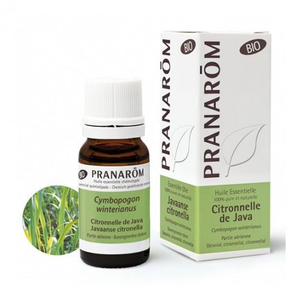 Pranarom Huile Essentielle De Citronnelle De Java Fl V 10 Ml 1